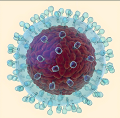 wxworklocal_175211726442.png wxworklocal_175211726442.png