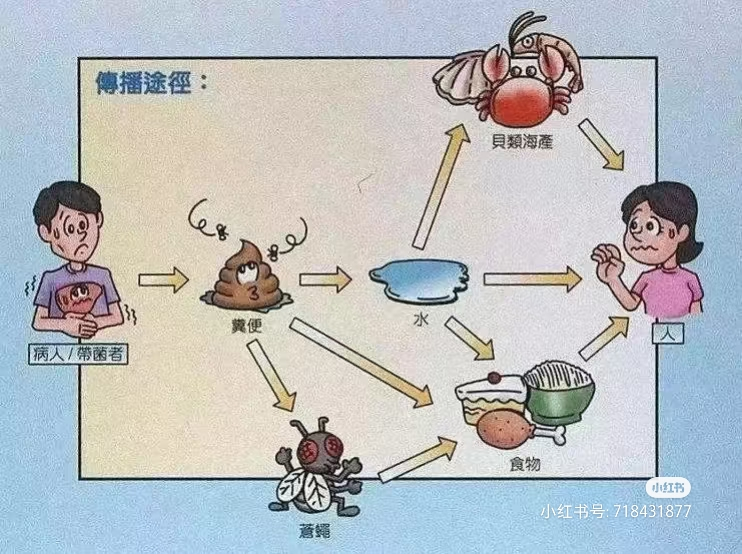 图片24.png 图片24.png